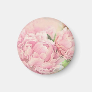 Rosa Pfingstrosen Magnet