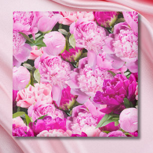 Rosa Pfingstrosen-Muster Magnet
