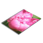 Rosa Pfingstrosen-Notizbuch Notizblock (Linke Seite)