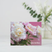 Rosa Pfingstrosen Postkarte (Stehend Vorderseite)