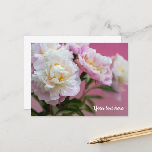 Rosa Pfingstrosen Postkarte (Vorderseite/Rückseite Beispiel)
