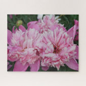 Rosa Pfingstrosen Puzzle (Horizontal)
