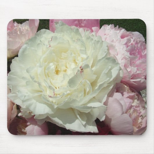 Rosa Pfingstrosen/rosa Pfingstrosen-Mäusematte Mousepad (Vorne)