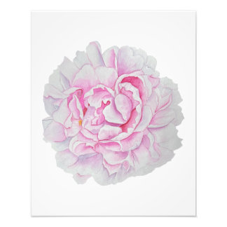 Rosa Pfingstrosen-Wasserfarben-Blumenposter Fotodruck