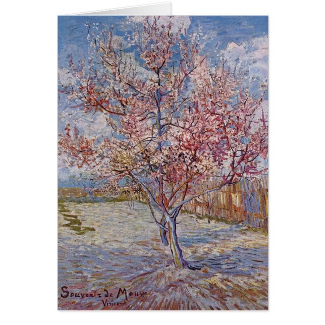 Rosa Pfirsich-Baum in der Blüte (Erinnerung der (Vorne)