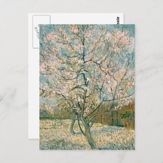 Rosa Pfirsich-Baum Van Gogh in der Blüte (F404) Postkarte (Vorne/Hinten)
