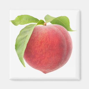 Rosa Pfirsich Magnet