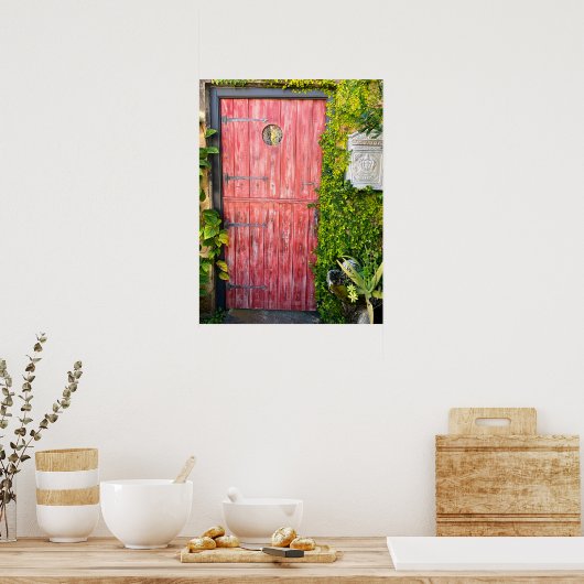 Rosa Pflanze Holztüre St Augustine Florida Foto Poster (Küche)