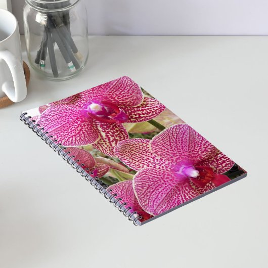 Rosa Phalaenopsis Orchids Floral Notizblock