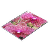 Rosa Phalaenopsis Orchids Floral Notizblock (Linke Seite)
