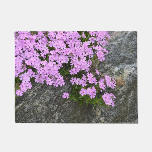 Rosa Phlox auf Steinen Fußmatte (Vorderseite)