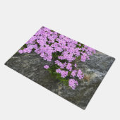 Rosa Phlox auf Steinen Fußmatte (Schrägansicht)