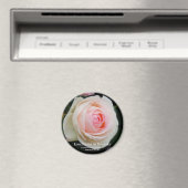 Rosa Pierre de Ronsard Magnet (In Situ (Geschirrspüler))