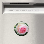 Rosa Pierre de Ronsard Magnet (In Situ (Geschirrspüler))