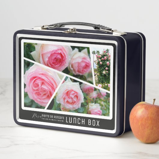 Rosa Pierre de Ronsard Metall Brotdose (Beispiel)