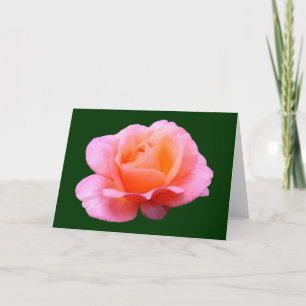 Rosa Pink - Blau Karte