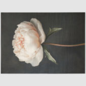 Rosa Pink Botanische Malerei Dekoupage Seidenpapier (Vorderseite)