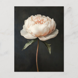 Rosa Pink Botanische Malerei Postkarte