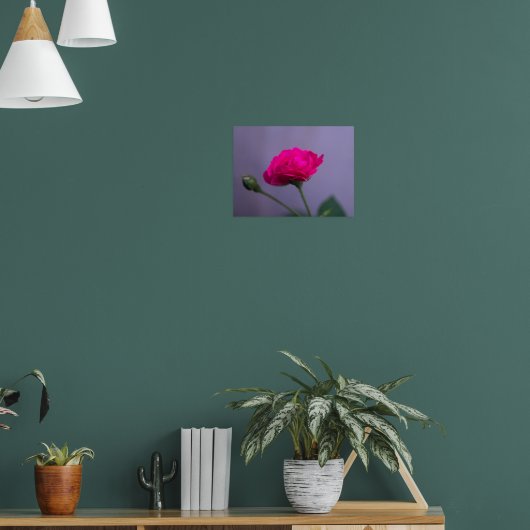 Rosa 'Pink Garden Rose' Poster (Wohnzimmer 1)