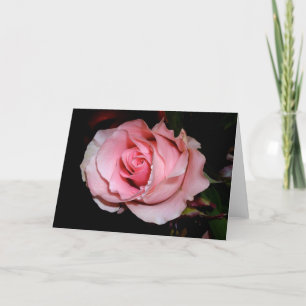 Rosa Pink Karte