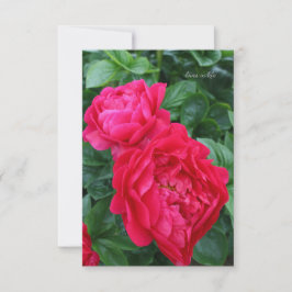 Rosa Pink Peony Mitteilungskarte