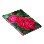 Rosa Pink Peony Notizblock (Rechte Seite)