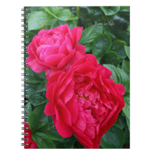 Rosa Pink Peony Notizblock