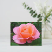 Rosa Pink Postkarte (Stehend Vorderseite)