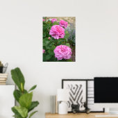 Rosa Pink Rose Blumen Floral Garten John Hopper Poster (Heimbüro)