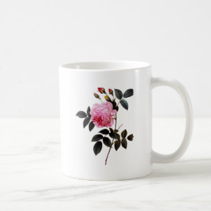 Rosa 'Pink rose', Pierre Joseph Redouté Kaffeetasse