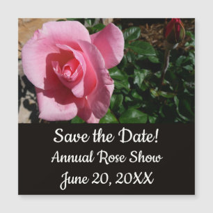 Rosa 'Pink Rose und Knospe' Garten Blumen Magnetkarte