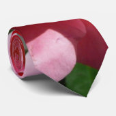 Rosa 'Pink Rose und Knospe' im Garten Krawatte (Gerollt)