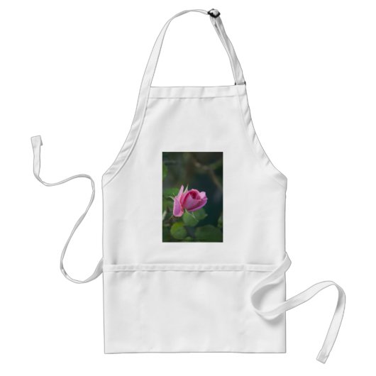 Rosa Pink Schürze (Vorne)