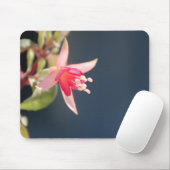 Rosa pinkfarbenes Mousepad (Mit Mouse)
