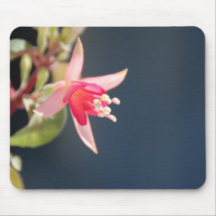 Rosa pinkfarbenes Mousepad