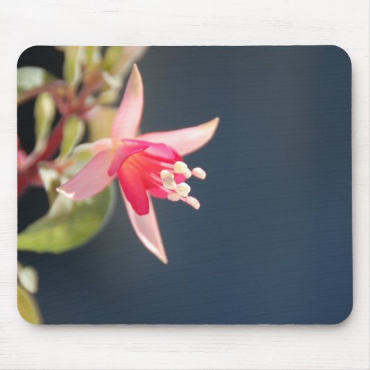 Rosa pinkfarbenes Mousepad (Vorne)