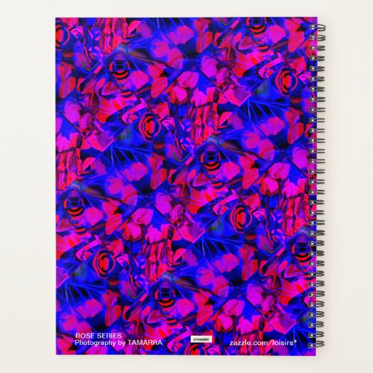 rosa planer (Rückseite)