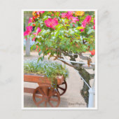 Rosa Playboy Postkarte (Vorderseite)