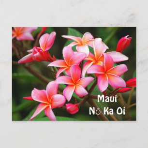 Rosa Plumeria-Blumen, Ka Oi Mauis Nō Postkarte