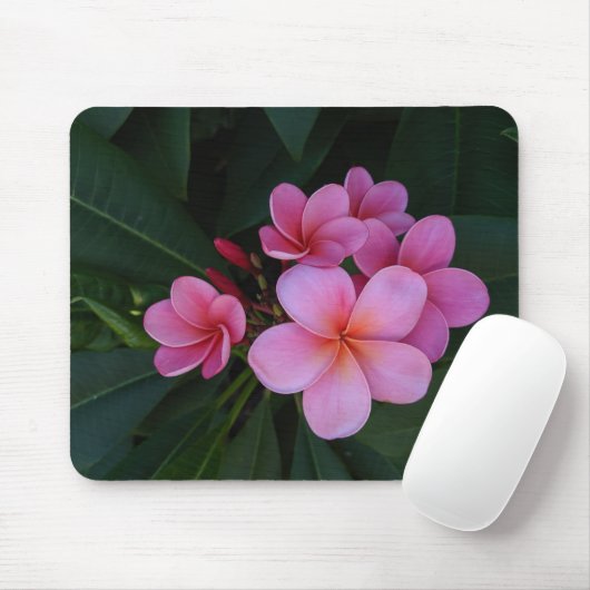Rosa Plumeria-Blumenbilder Mousepad (Mit Mouse)