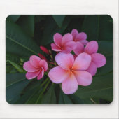 Rosa Plumeria-Blumenbilder Mousepad (Vorne)