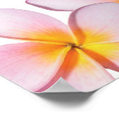 Rosa Plumeria Frangipani Hochzeitsskalender Poster (Ecke)