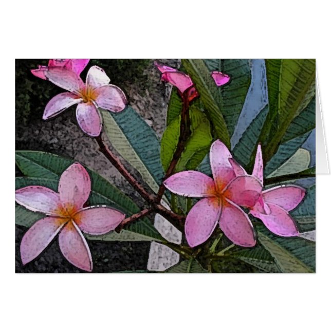 Rosa Plumeria-Karte (Vorderseite (Horizontal))