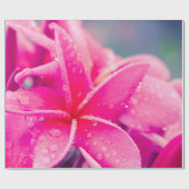 Rosa Plumeria-Lech-Packpapier Geschenkpapier (Flach)