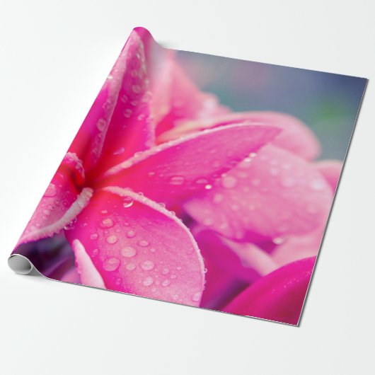 Rosa Plumeria-Lech-Packpapier Geschenkpapier (Ungerollt)