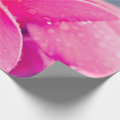 Rosa Plumeria-Lech-Packpapier Geschenkpapier (Ecke)