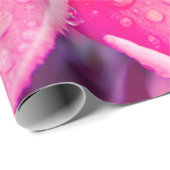 Rosa Plumeria-Lech-Packpapier Geschenkpapier (Rolleneckpunkt)
