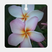 Rosa Plumeria Metal Ornament (Rückseite)
