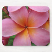 Rosa Plumeria Mousepad (Vorne)