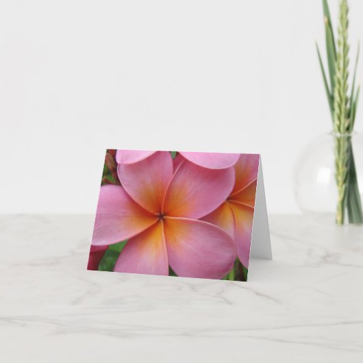 Rosa Plumeria Notecard Karte (Vorderseite)